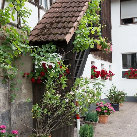 Zur Rose אורחן