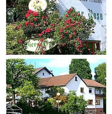 Zur Rose ויינהיים