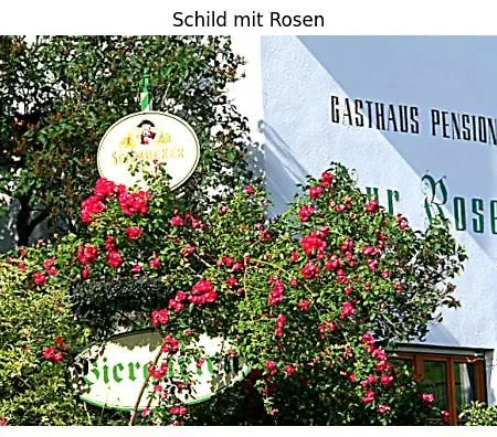 אורחן Zur Rose ויינהיים